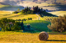 Tuscany, Italian Countryside